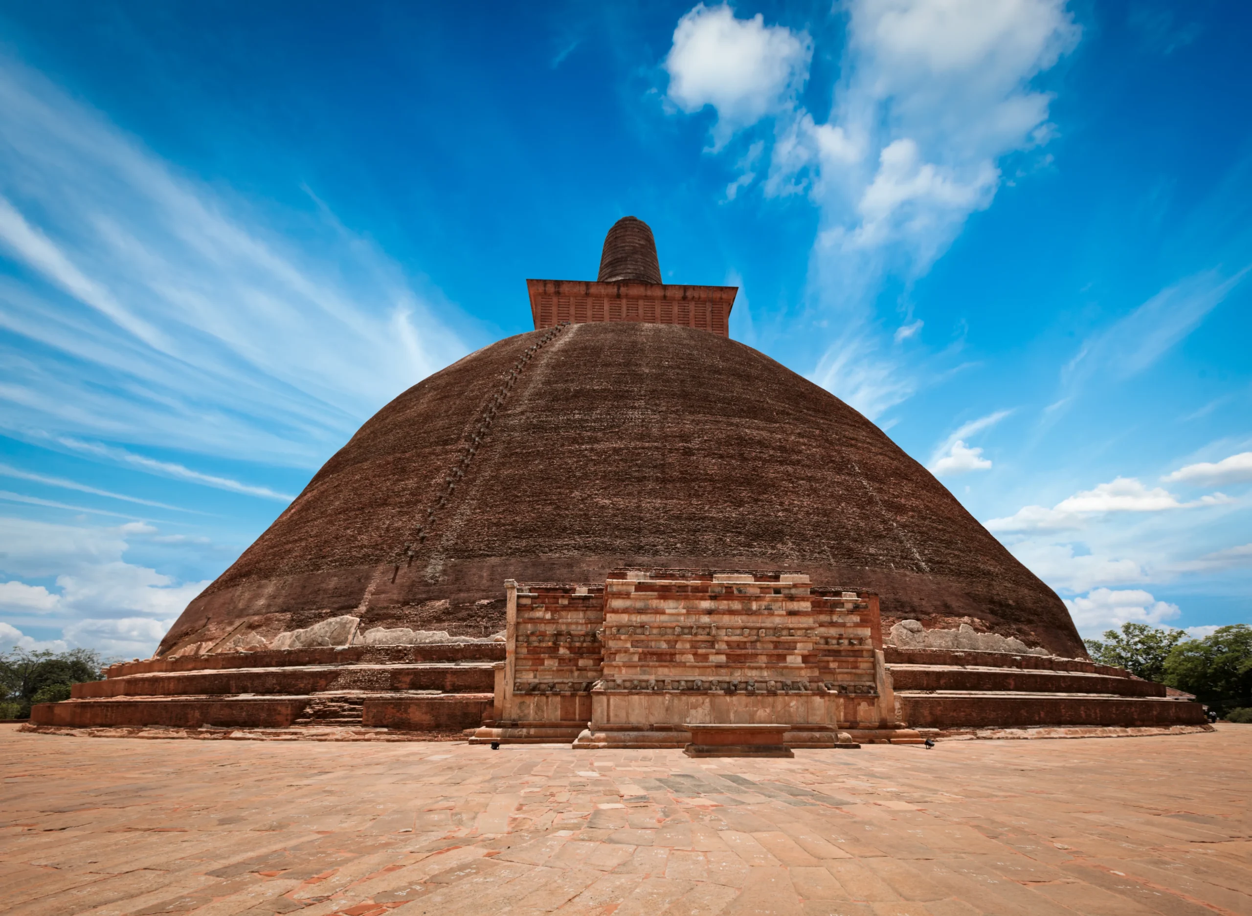 Discover the arrival of the Sacred Bo Tree in Anuradhapura